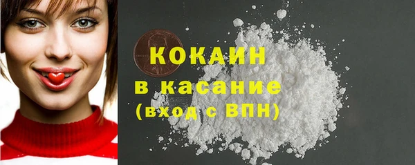 прущие грибы Абинск