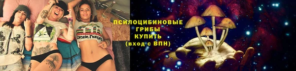 прущие грибы Абинск