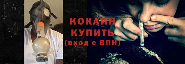 прущие грибы Абинск