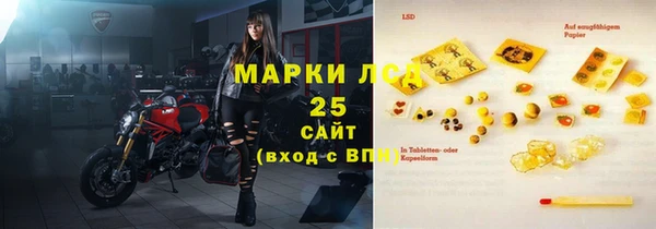 прущие грибы Абинск