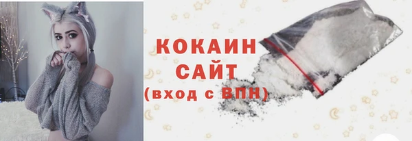 прущие грибы Абинск