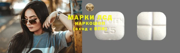 прущие грибы Абинск