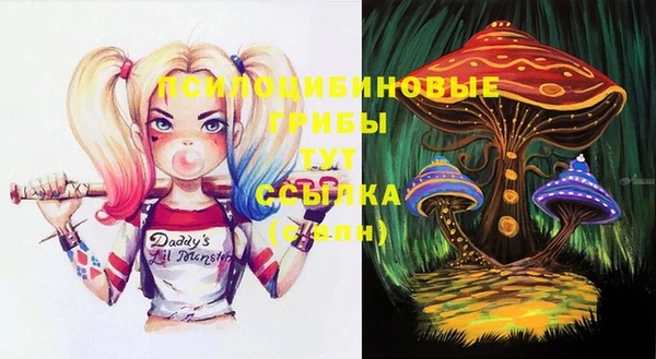 соль ск Абдулино